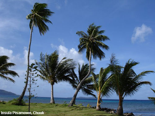 Vacanta in Insula Pisamowe, Chuuk, vacante de vis, calatorie, insule si locuri de scufundat, top plaje de vis