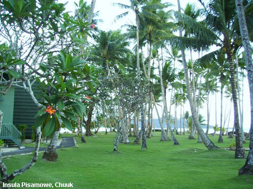 Vacanta in Insula Pisamowe, Chuuk, vacante de vis, calatorie, insule si locuri de scufundat, top plaje de vis