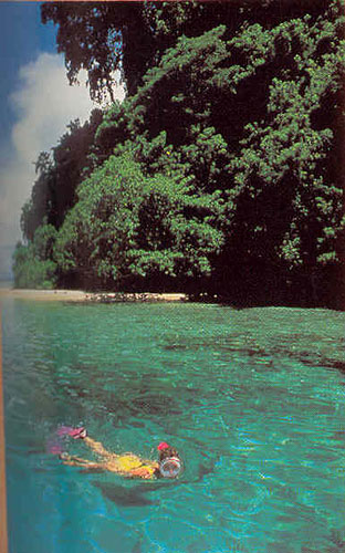 Vacanta in Kavieng, New Ireland, vacante de vis, calatorie, insule si locuri de scufundat, top plaje de vis