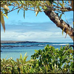 Vacanta in Epi, Shepherd Islands, vacante de vis, calatorie, insule si locuri de scufundat, top plaje de vis