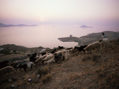 Vacanta in Epi, Shepherd Islands, vacante de vis, calatorie, insule si locuri de scufundat, top plaje de vis