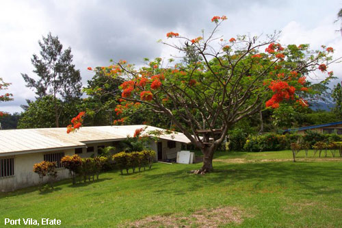 Vacanta in Port Vila, Efate, vacante de vis, calatorie, insule si locuri de scufundat, top plaje de vis