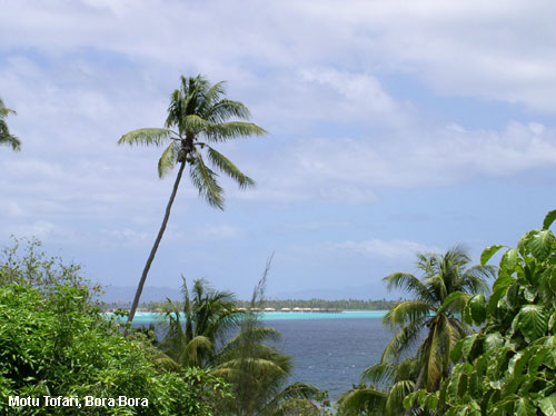 Vacanta in Motu Tofari, Bora Bora, vacante de vis, calatorie, insule si locuri de scufundat, top plaje de vis