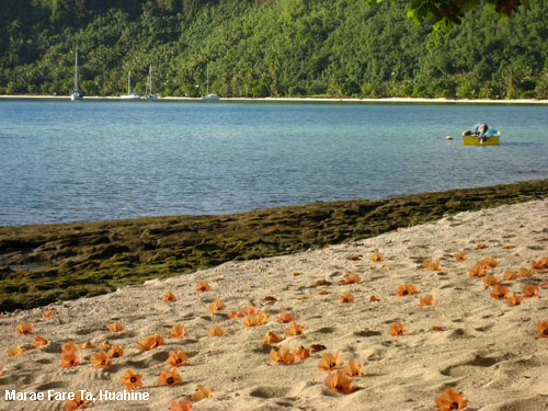Vacanta in Marae Fare Ta, Huahine, vacante de vis, calatorie, insule si locuri de scufundat, top plaje de vis