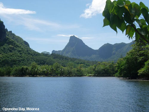 Vacanta in Opunohu Bay, Moorea, vacante de vis, calatorie, insule si locuri de scufundat, top plaje de vis