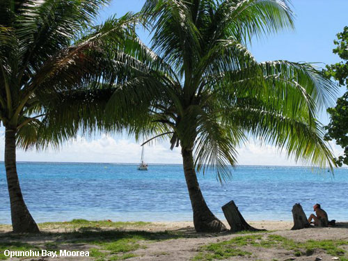 Vacanta in Opunohu Bay, Moorea, vacante de vis, calatorie, insule si locuri de scufundat, top plaje de vis