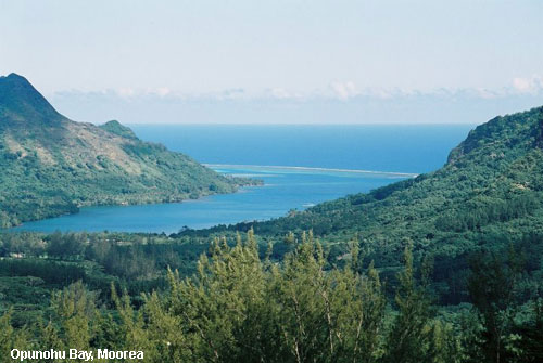 Vacanta in Opunohu Bay, Moorea, vacante de vis, calatorie, insule si locuri de scufundat, top plaje de vis