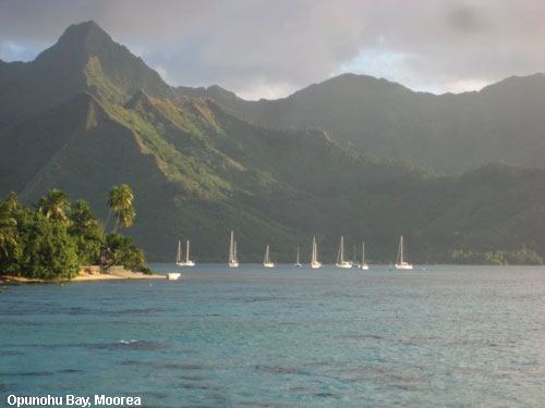 Vacanta in Opunohu Bay, Moorea, vacante de vis, calatorie, insule si locuri de scufundat, top plaje de vis