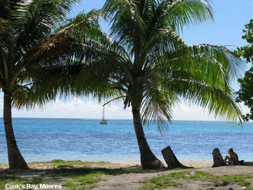 Vacanta in Cook's Bay, Moorea, vacante de vis, calatorie, insule si locuri de scufundat, top plaje de vis