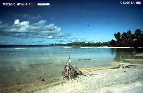 Vacanta in Tahiti, Insulele Societatii, vacante de vis, calatorie, insule si locuri de scufundat, top plaje de vis